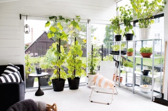Black And White Orangery To Enjoy The Nature