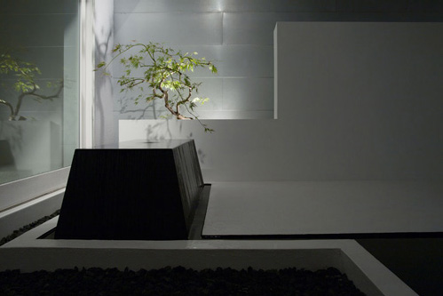 Picture Of black exterior japanese house design  3