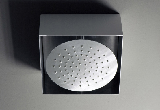 Wings Shower Plate