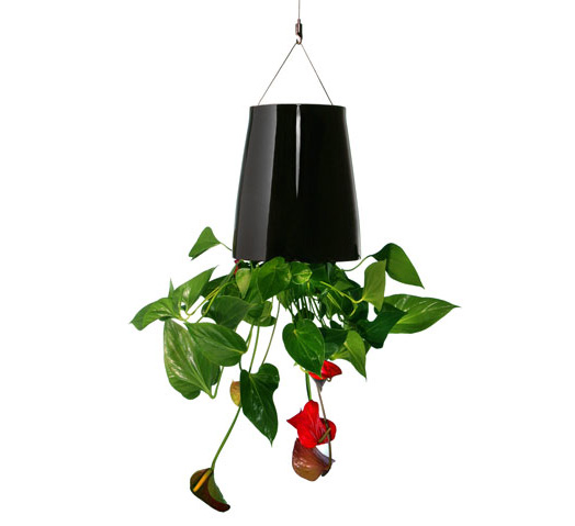 Boskke Sky Planter – Turn Your World Upside Down