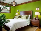 dark stained wooden furniture, bright green walls, potted plants and a wicker pendant lamp