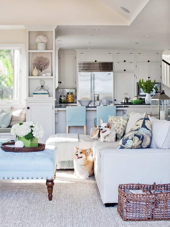 floral print pillows, blue furniture and potted blooms bring a fresh summer feel to the space
