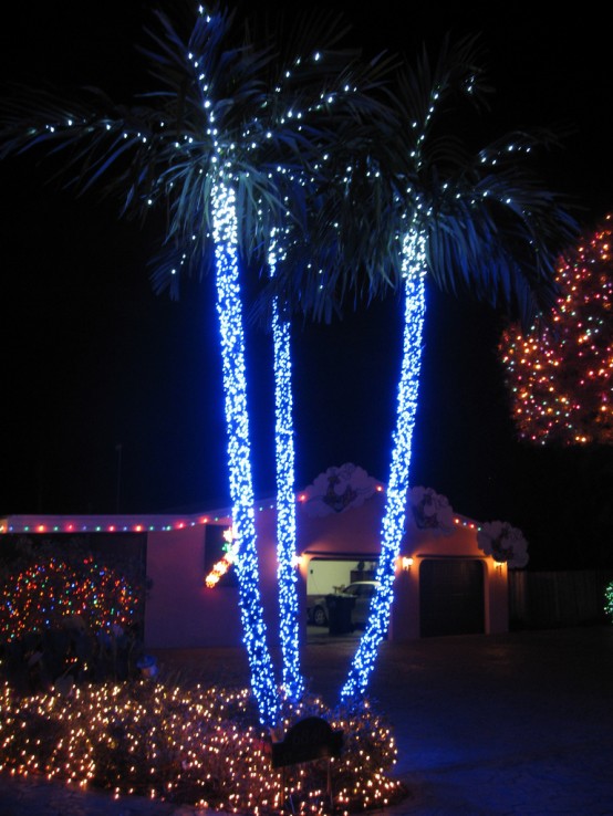 Clot family Xmas Holiday Lights