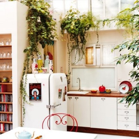 touches of red and potted greenery are great to make the kitchen more boho