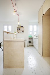 Compact Scandinavian Styled Plywood Kitchen With Mint Touches