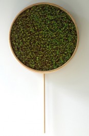 Coniferous Clock Inspired By Japanese Traditions