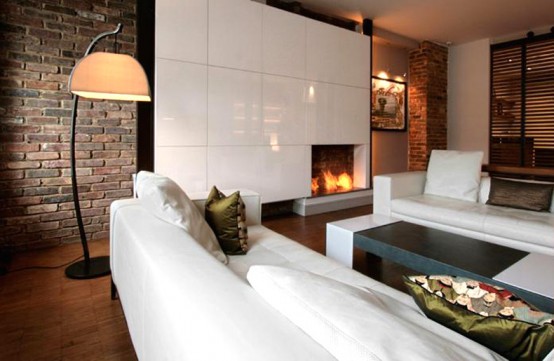 Contemporary Fireplace Examples
