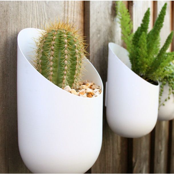 white sleek wall mounted planters with succulents and cacti are a great decoration for any space, not only a balcony
