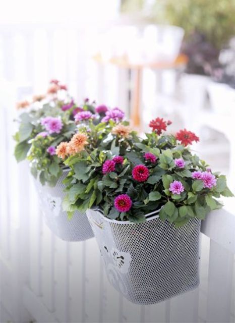 grey railing planters with bright blooms and greenery are a nice decoration for a small balcony and can be used anywhere you want for blooms and plants