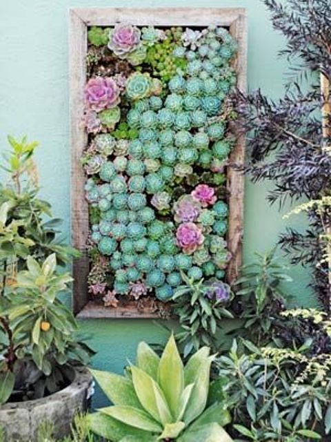 a wall mounted framed vertical planter is a lovely idea of a vertical garden, it can refresh any space, not only a balcony