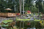 Cool Backyard Ponds
