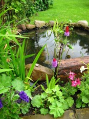 Cool Backyard Ponds