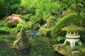 Cool Backyard Ponds