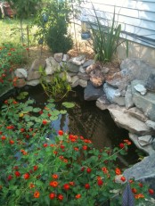 Cool Backyard Ponds