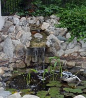 Cool Backyard Ponds