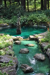 Cool Backyard Ponds