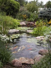 Cool Backyard Ponds