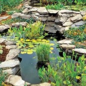 Cool Backyard Ponds