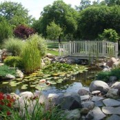 Cool Backyard Ponds