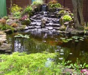 Cool Backyard Ponds