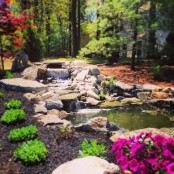 Cool Backyard Ponds