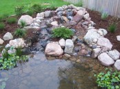 Cool Backyard Ponds