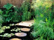 Cool Backyard Ponds