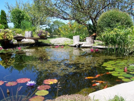 Cool Backyard Ponds
