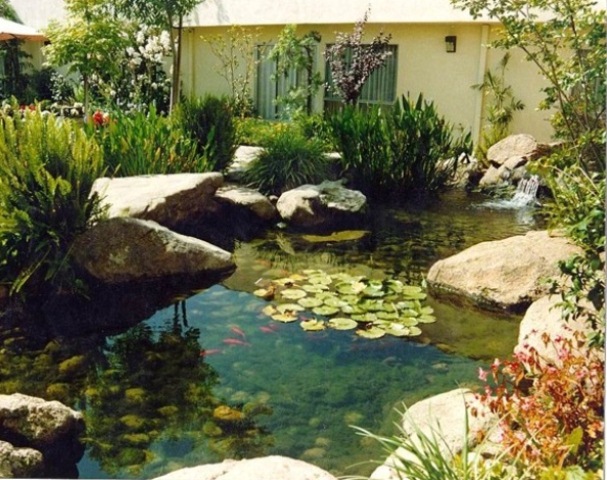 small fish pond design ideas