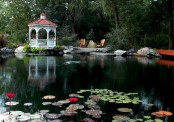 Cool Backyard Ponds