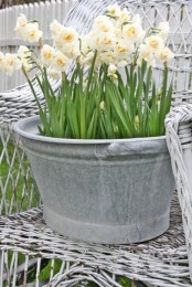 a galvanized tub with white daffodils is a lovely outdoor decor idea to give a rustic feel to the space