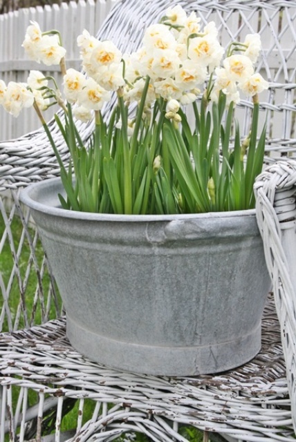 Cool Daffodils Decor Ideas To Welcome Spring
