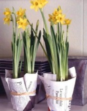 potted daffodils wrapped in newspaper will bring a lovely feel to the space and a Parisian touch