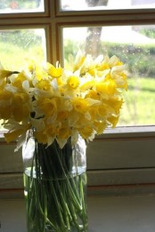 a jar with daffodils is a timeless spring decoration for indoors and outdoors, it’s fresh and cool