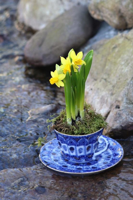 a refined blue and white tea mug with a saucepan with daffodils and moss is a sophisticated spring decoration