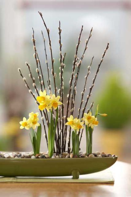 a bowl with daffodils, willow and pebbles on top is a refined combo or centerpiece for spring decor