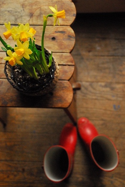daffodils in a basket are a lovely and cool decoration for a spring space, it's fresh and bold