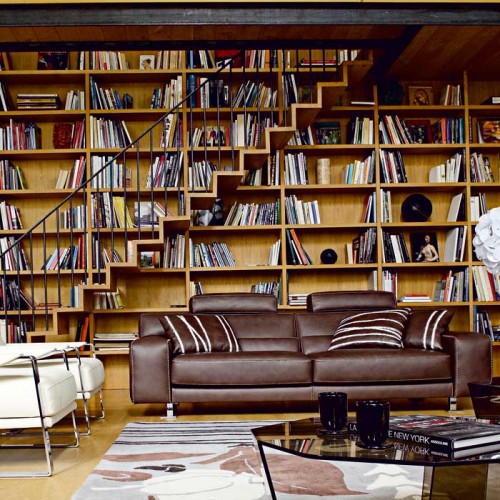 Cool Home Library Design