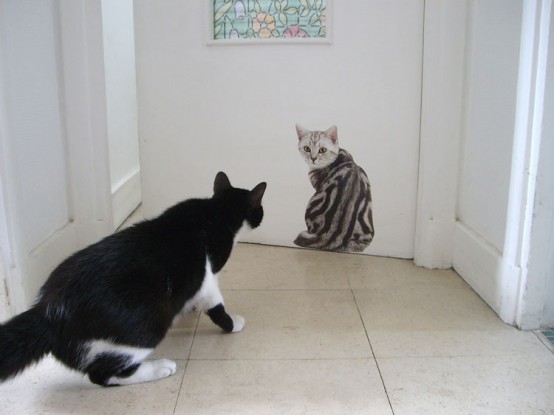 More Than 50 Cool Ideas for Cat Themed Room Design - DigsDigs