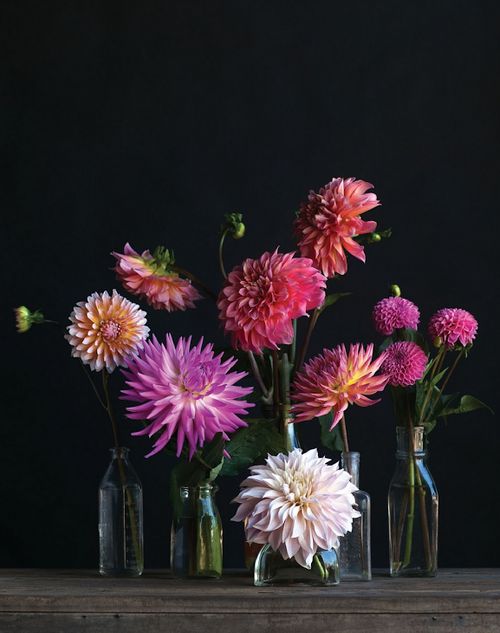 clear vintage bottles with super bright dahlias are a great centerpiece or decoration for any space