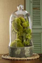 a moss centerpiece made of a cloche and several moss ball placed on a jute rug for a rustic feel