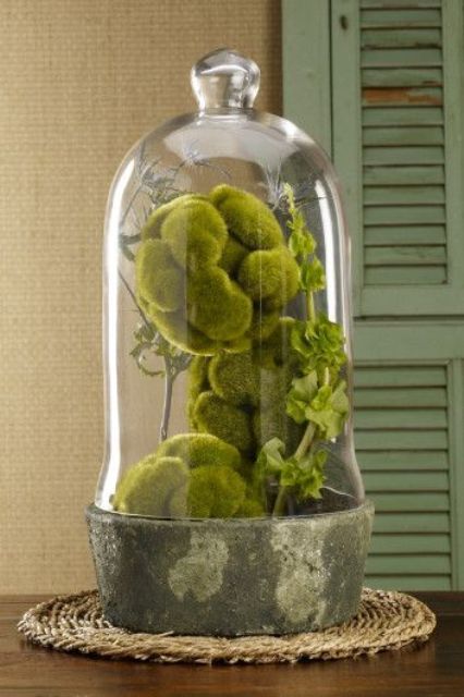 Using Moss In Home Decorating  Moss balls, Decor, Home decor