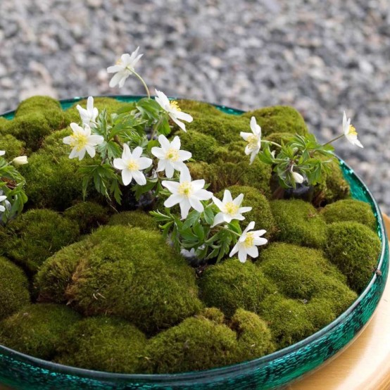 a green bowl with lots of moss and some fresh spring blooms is a great idea for a centerpiece or decor
