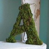 a moss monogram is a cool decor idea for spring, it’s bright and fresh for a indoor decor