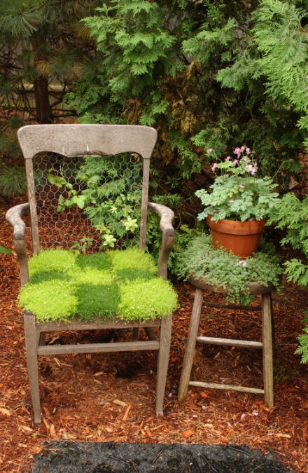 an outdoor chair covered with moss is a cool outdoor decoration with a spring feel