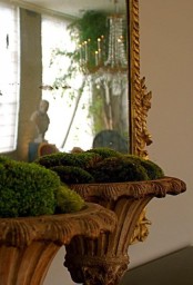 large vintage urns with moss balls look very rustic and very chic adding a natural feel to your home