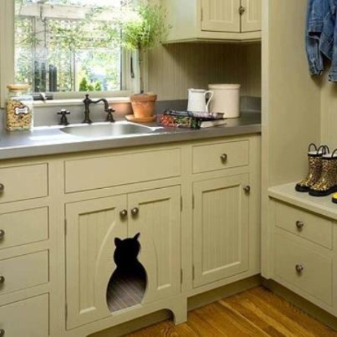 a sink vanity in your kitchen can become a litter box cover, just cut out an entrance you want