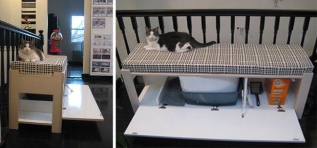 a long bench with a cat litter box inside and means for cleaning the box inside it can be placed in your entryway