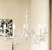 Coral Inspired Chandalier