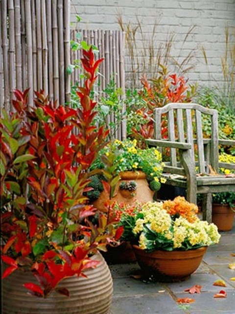 Cozy Fall Patio Decor Ideas